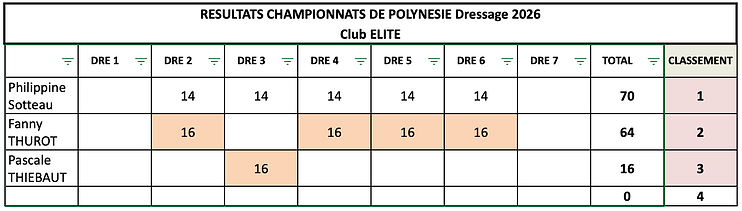 CE DRES 6.png