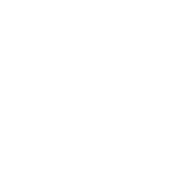 boeuf-gros-blanc.png