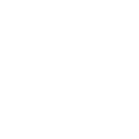 poulet-gros-blanc.png