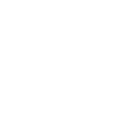 porc-gros-blanc.png