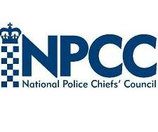 Violence Against Women and Girls (VAWG)