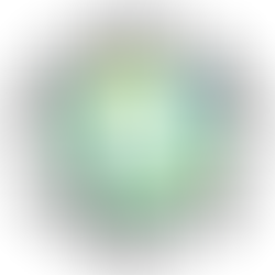 Disclosure: the importance of complying with the Surveillance Camera Code of Practice.