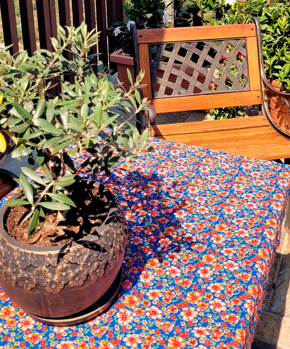 תמונה ממוזערת: Fire Sparkles