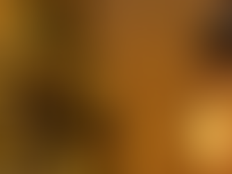 Today is Christmas Eve, a moment that invites us to slow down and reflect on everything the year has brought.