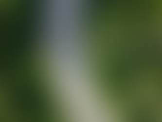 Sustainability has become a core priority in the construction industry.