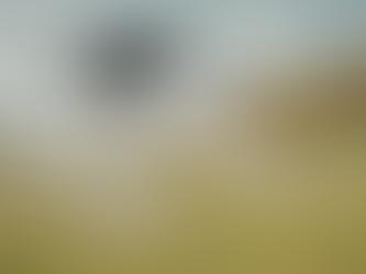 From aerial monitoring to visual reporting, drones give project teams the clarity they need to stay on schedule, reduce risks, and make informed decisions at every stage.