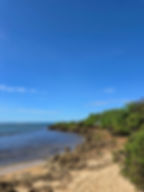 海