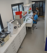 laboratoire prothèse cabinet dentaire d'occitanie