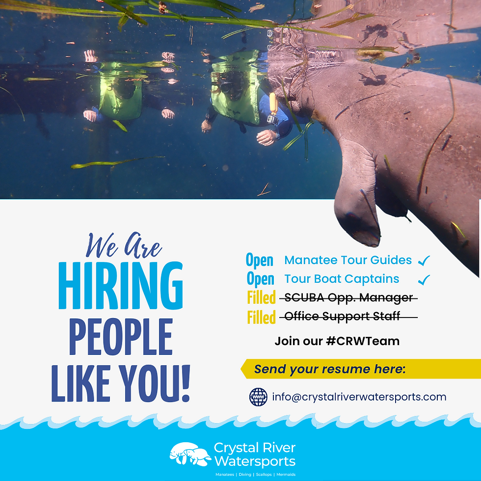 We Are Hiring at Crystal River Watersports _Manatee