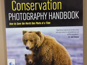What is conservation photography? | Review of Conservation Photography Guidebook by Boyd Norton