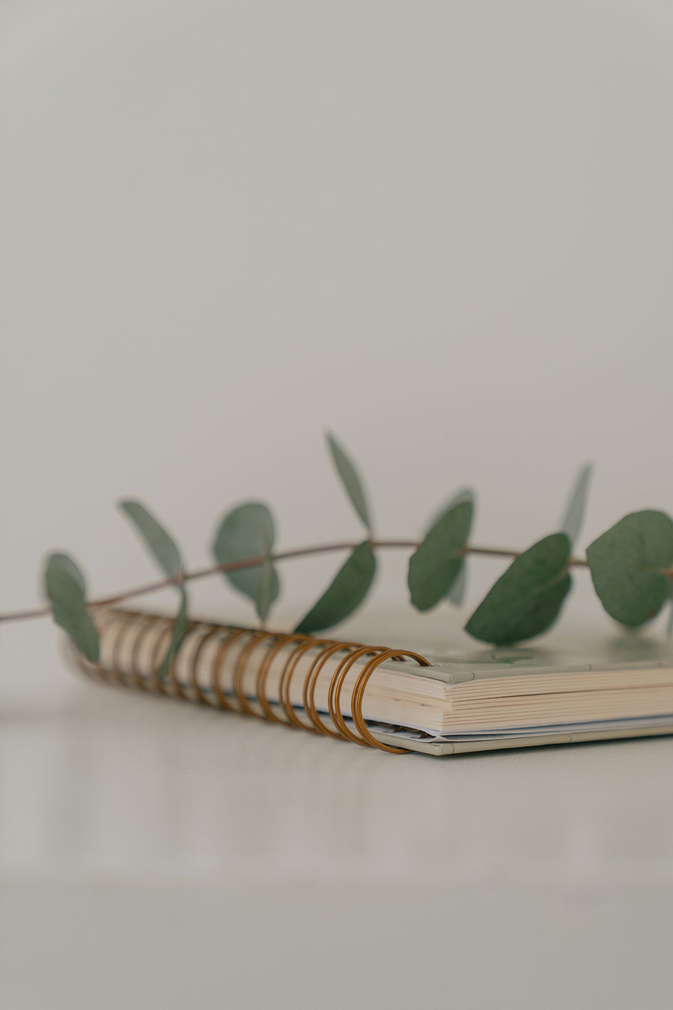 MarianaSerraRespiro � Alta13 (1).jpg