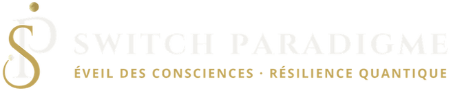 Logo Switch Paradigme Web.png
