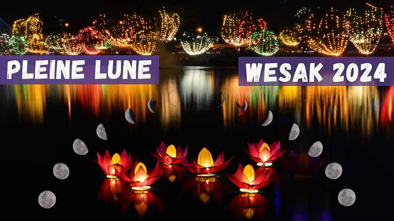 SP - Vignettes vidéos.jpg