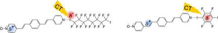 Building Organic Frameworks using Halogen Bonds