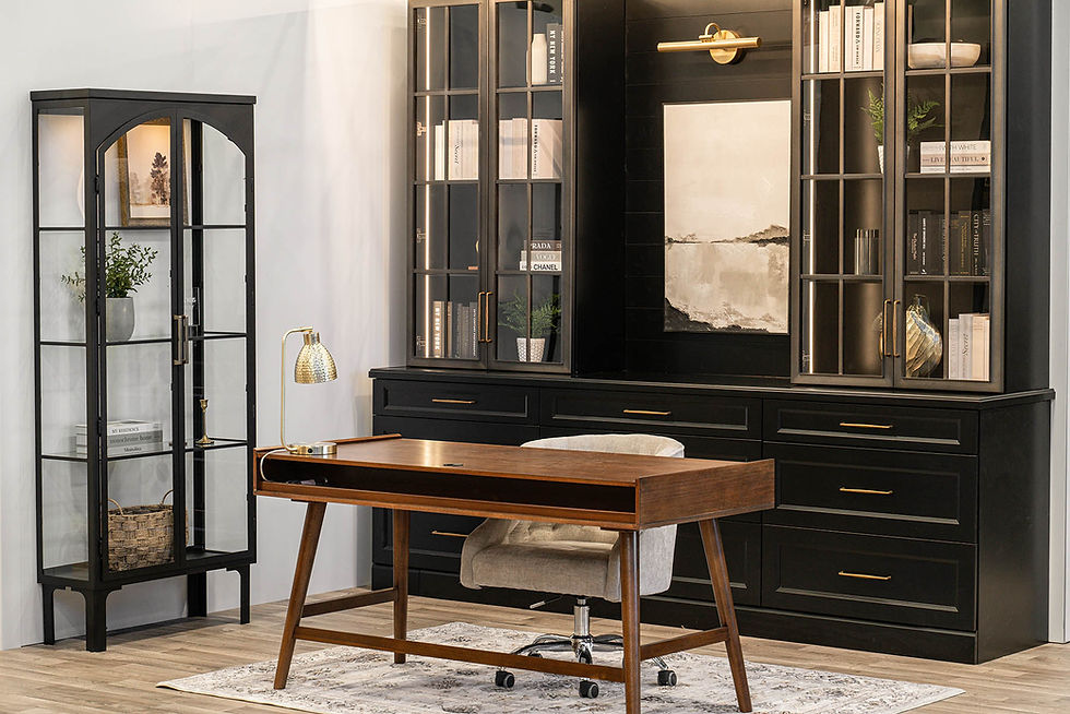 CurioCabinet_Study_Lifestyle