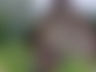 Country Event vom 19.05.2022 in Stallikon ZH