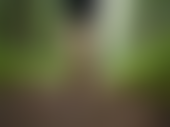 Practical Simple Mindfulness Techniques for Everyday Life