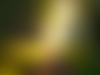 Key Benefits of Practicing Mindfulness: A Path to Inner Peace and Growth