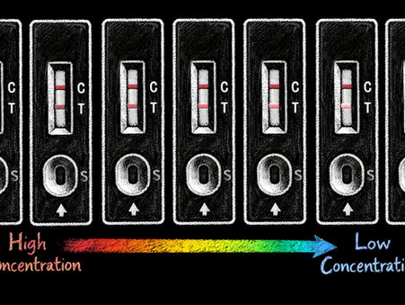 Seven lateral flow assays showing varying test line signal intensities against a black background. Gradient bar below: High to Low Concentration.