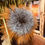 Thumbnail: Brown Woodgrain Vase Arrangement