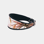 Dog Collar    