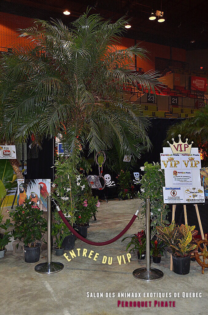 Salon des animaux de Québec 1e