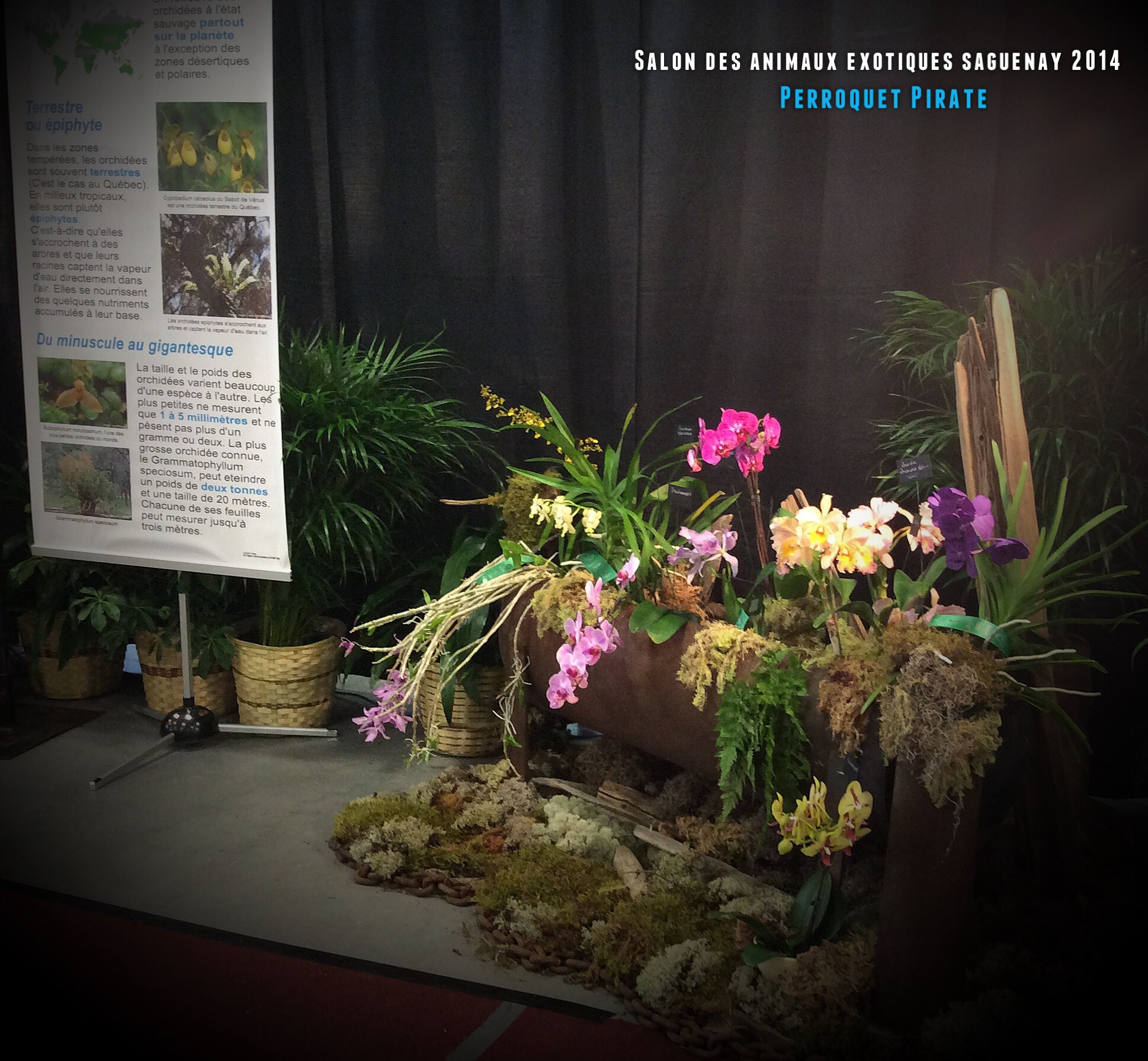 Salon des animaux de l'UQAC 3ième