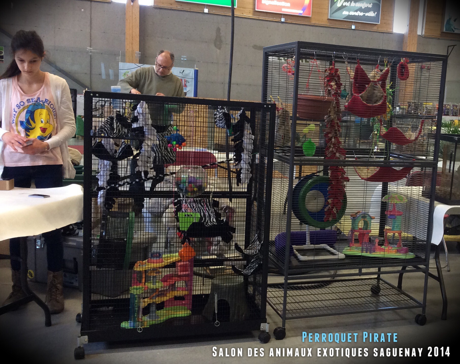 Salon des animaux de l'UQAC 3ième