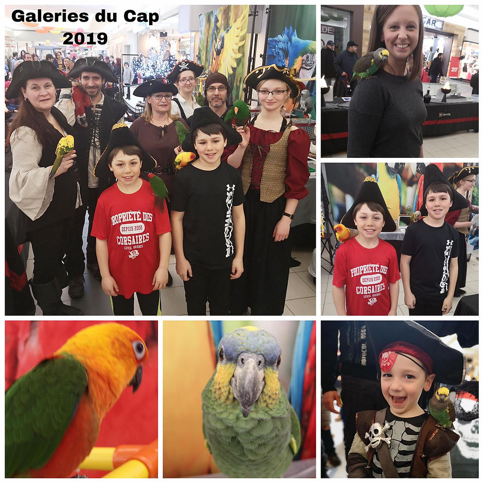 Galeries du Cap 2019