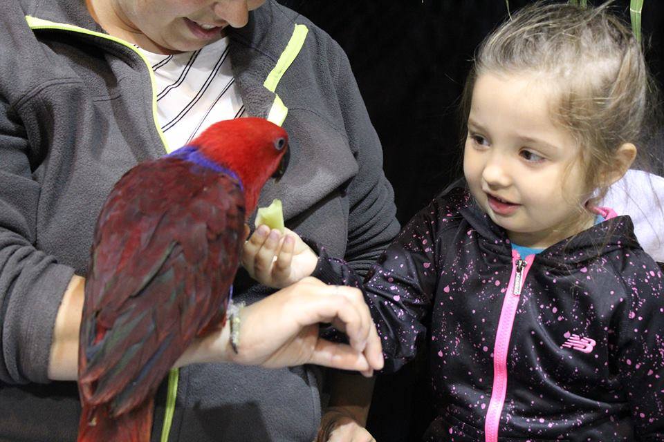 Salon des animaux de Québec 1e