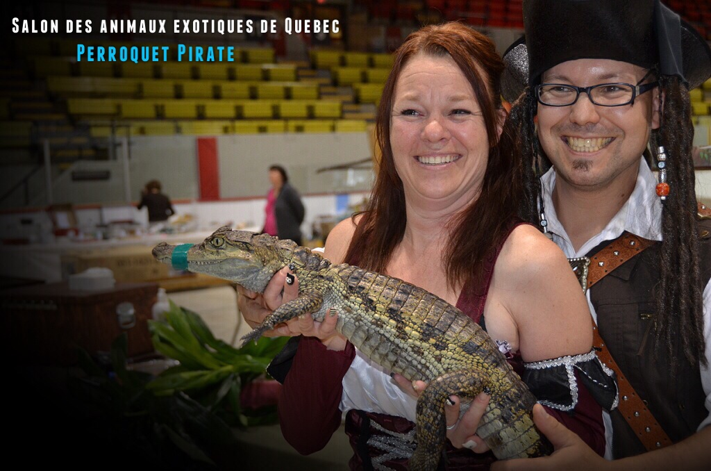 Salon des animaux de Québec 1e