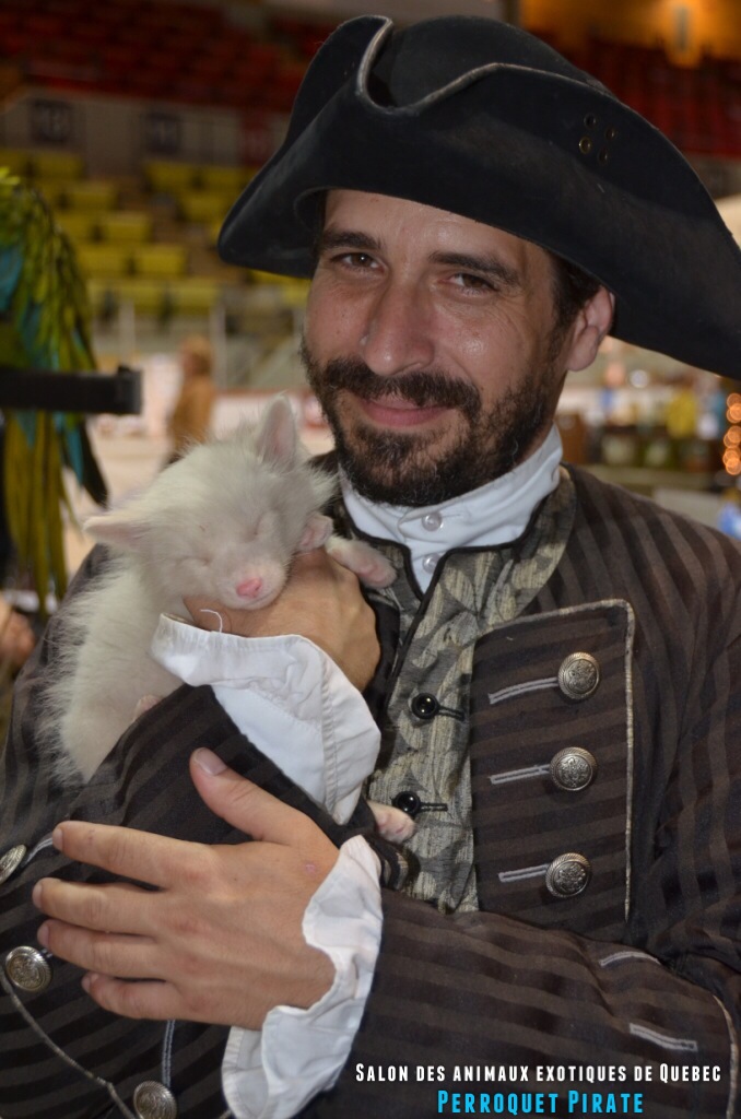 Salon des animaux de Québec 1e