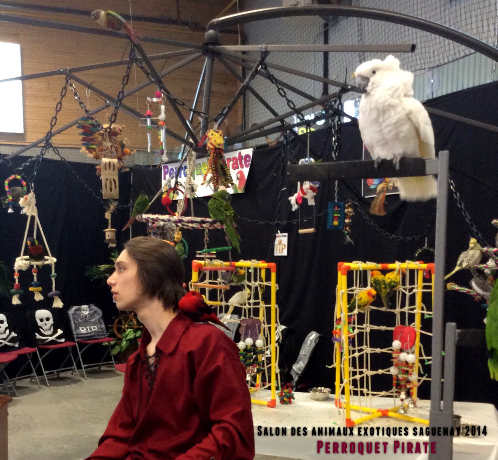 Salon des animaux de l'UQAC 3ième