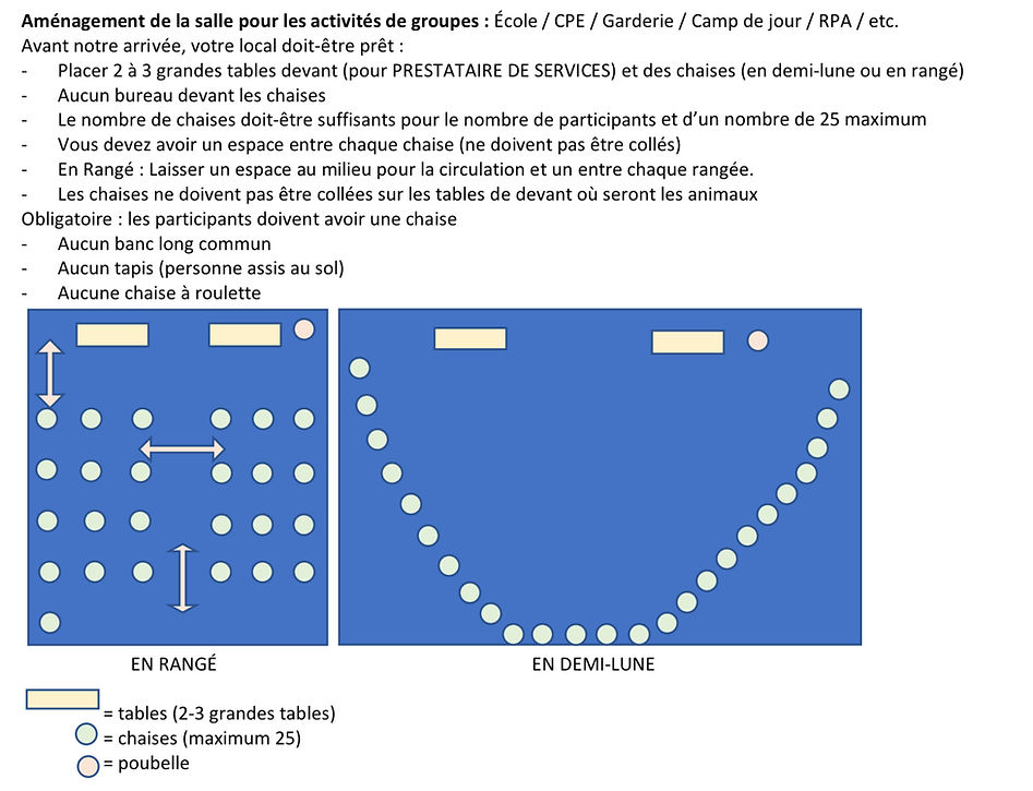 Pirate Parrot Room Layout