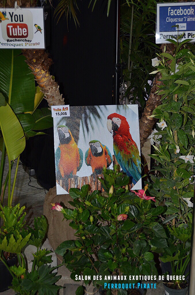 Salon des animaux de Québec 1e