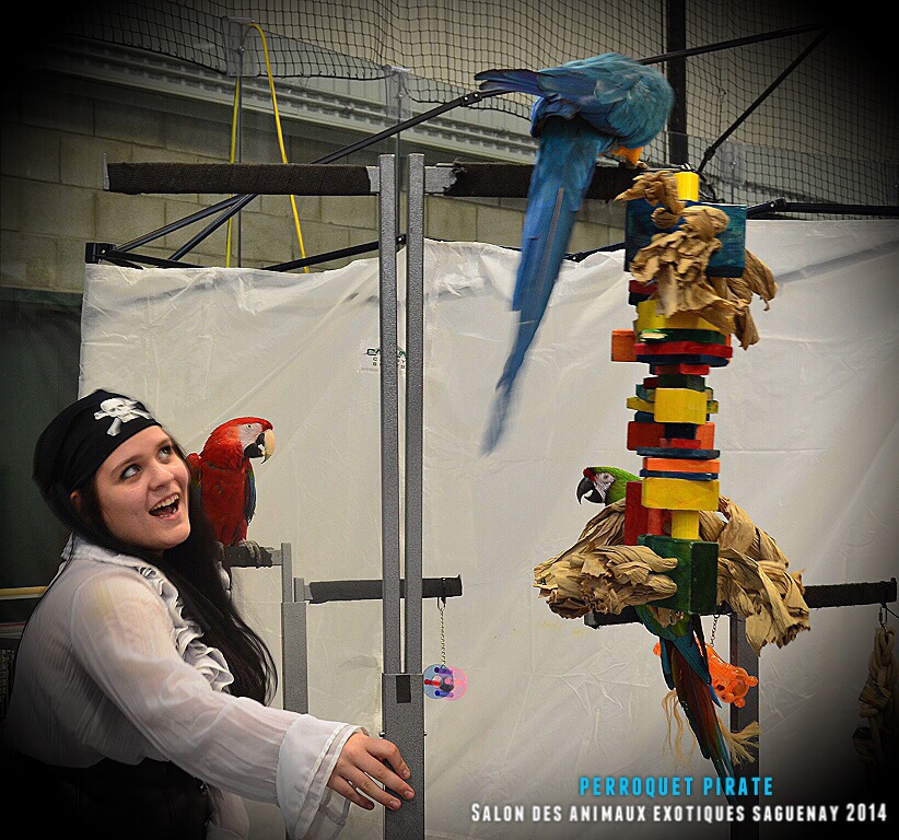 Salon des animaux de l'UQAC 3ième
