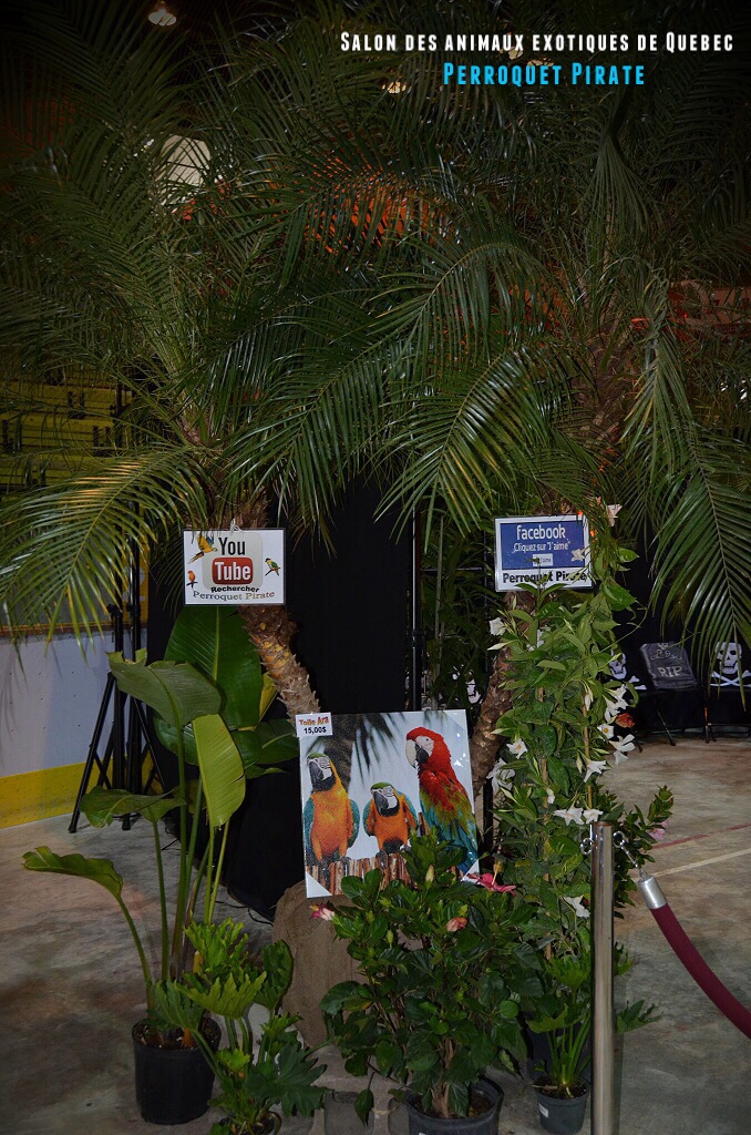Salon des animaux de Québec 1e
