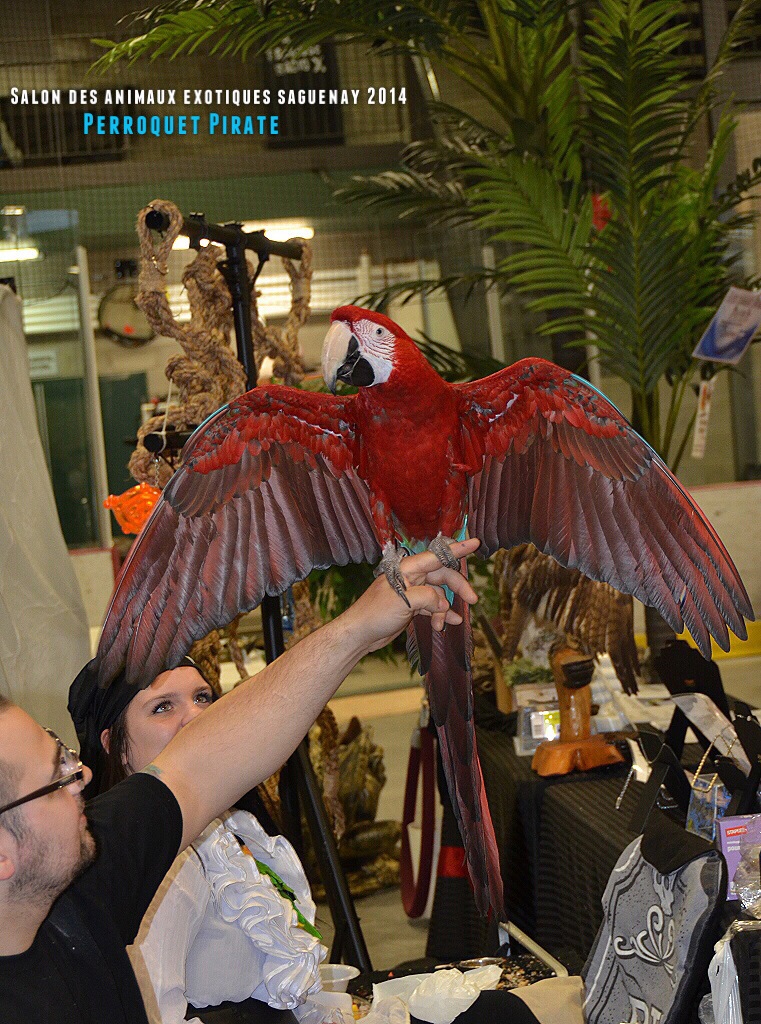 Salon des animaux de l'UQAC 3ième