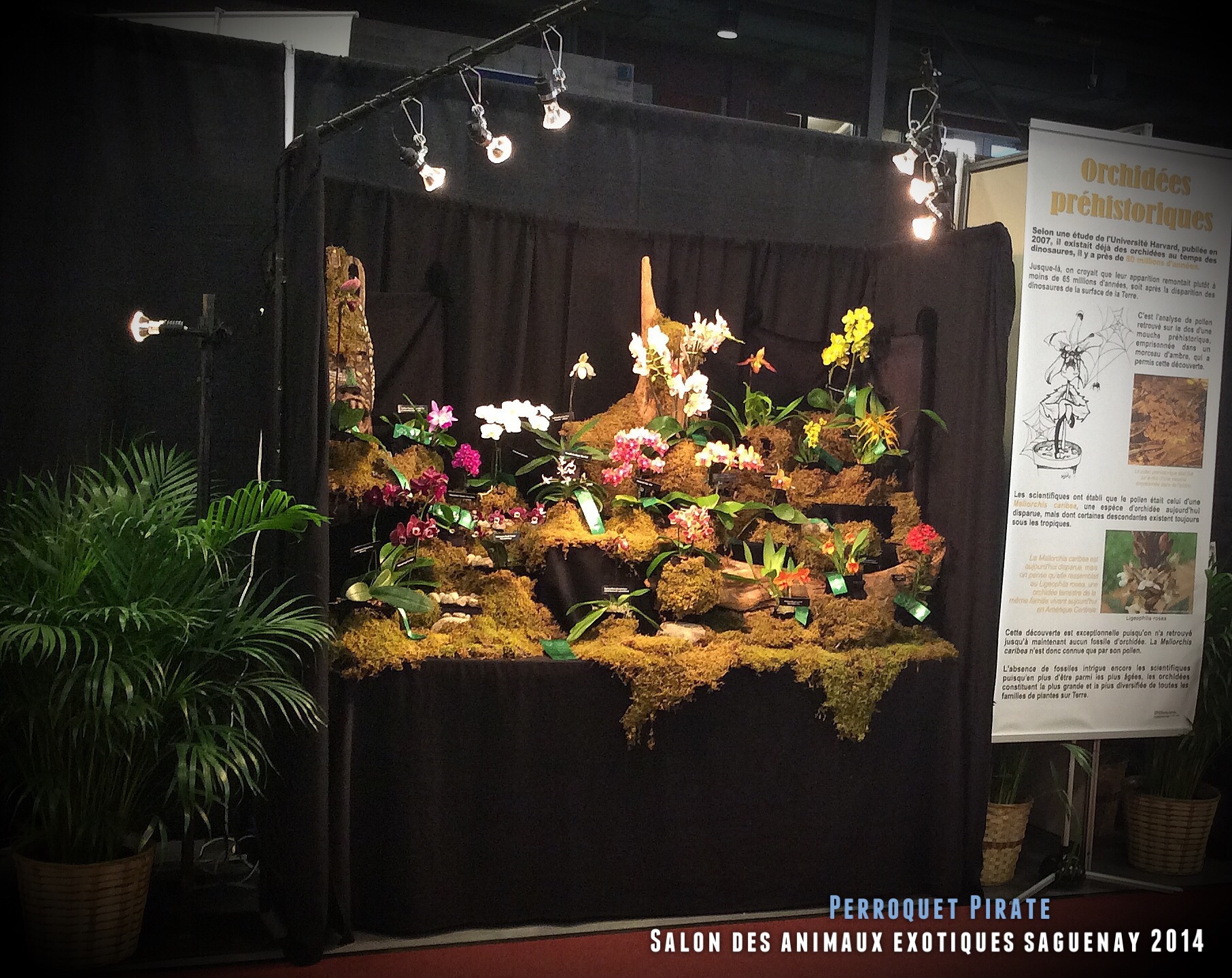 Salon des animaux de l'UQAC 3ième