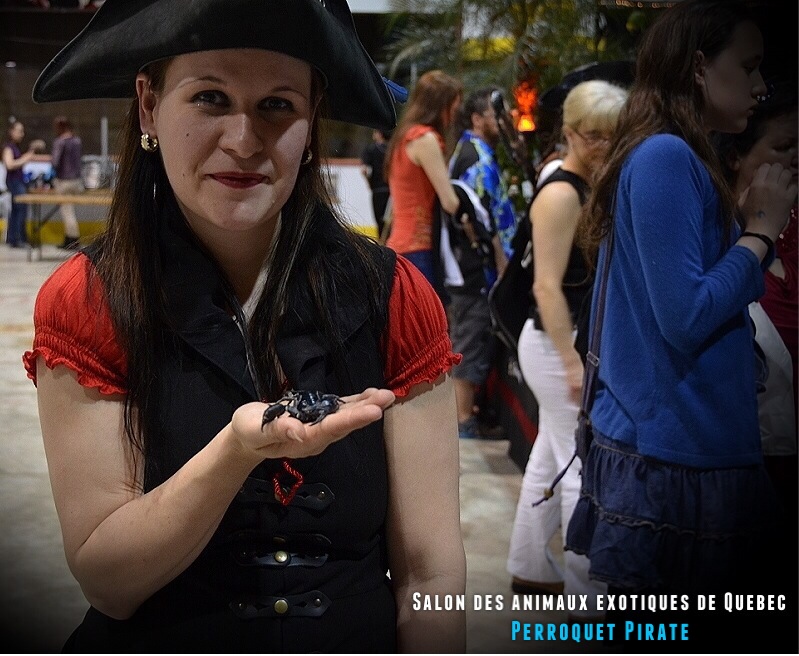 Salon des animaux de Québec 1e