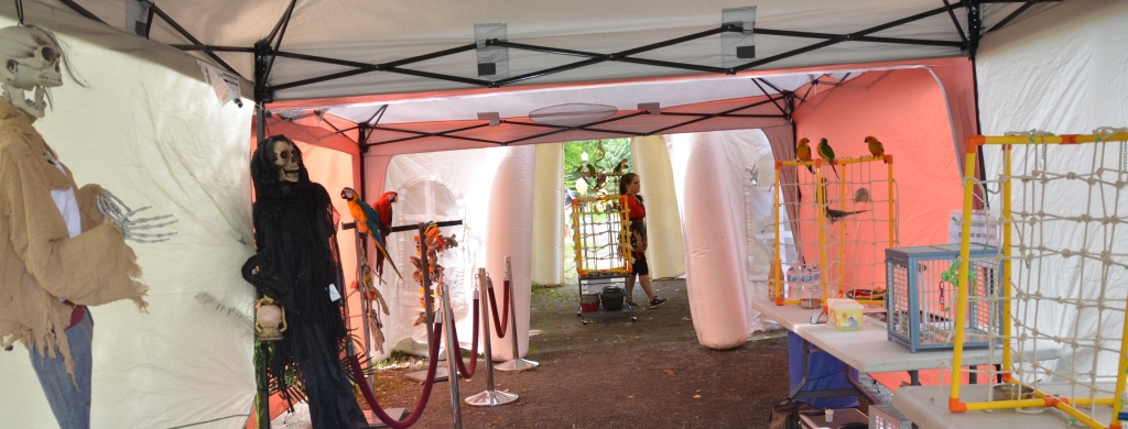 Festiart du Domaine Maizerets 2013