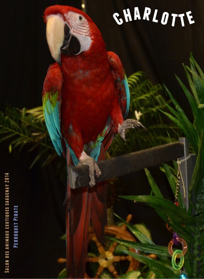 Salon des animaux de l'UQAC 3ième