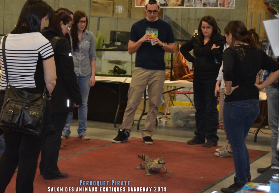 Salon des animaux de l'UQAC 3ième