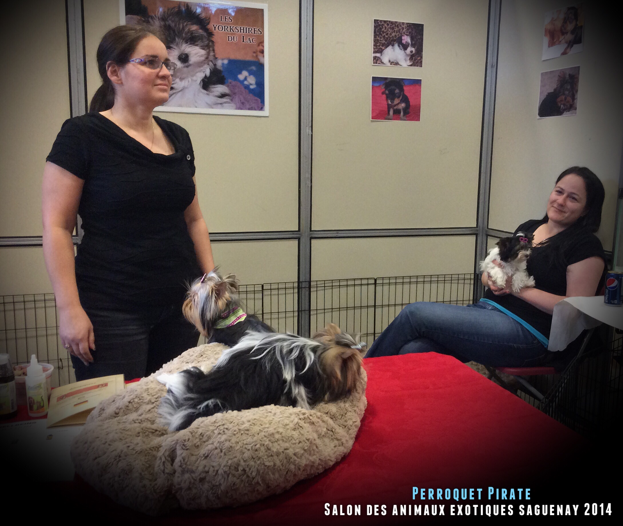 Salon des animaux de l'UQAC 3ième