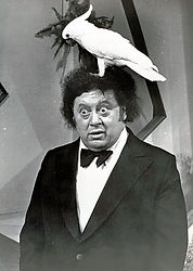Célébrités avec perroquet - Marty Allen