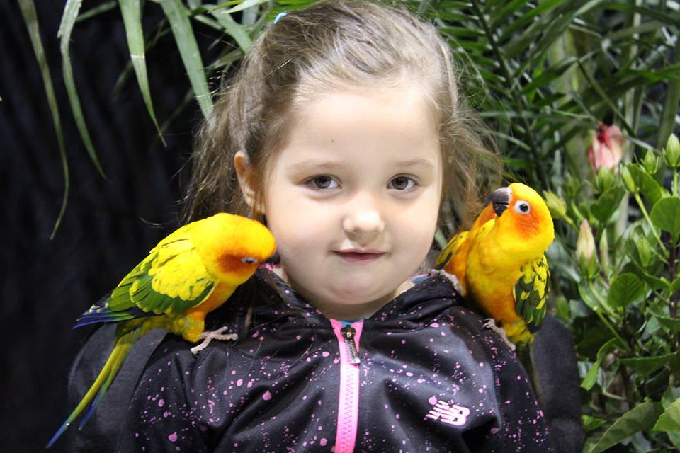 Salon des animaux de Québec 1e