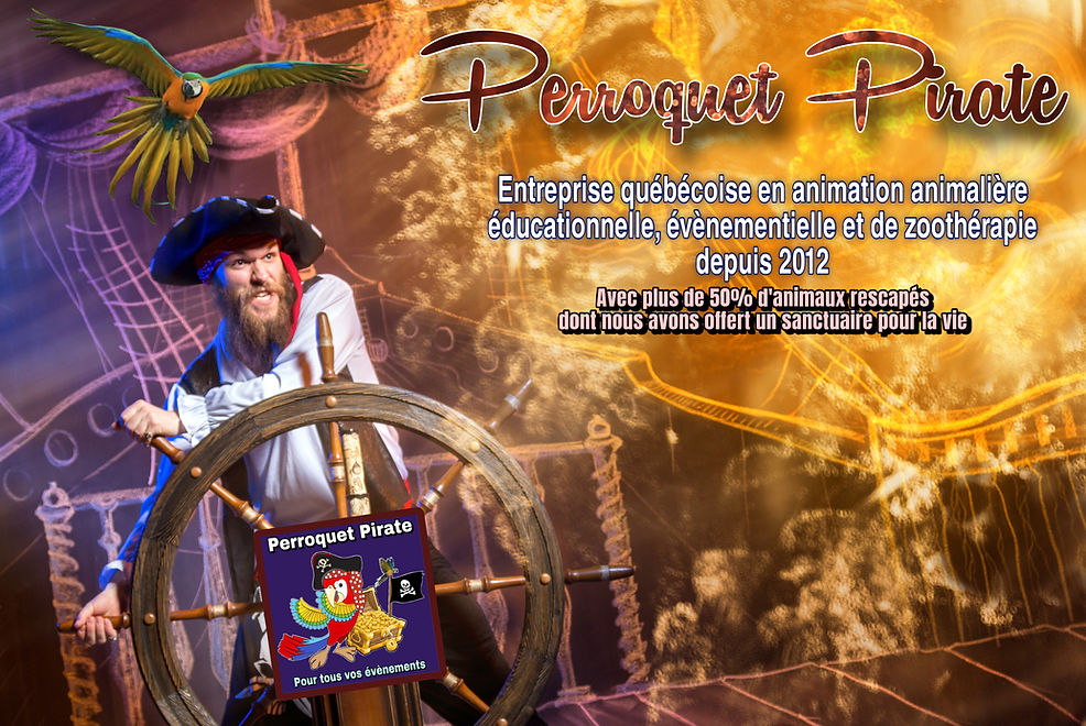 Pirate Parrot website header