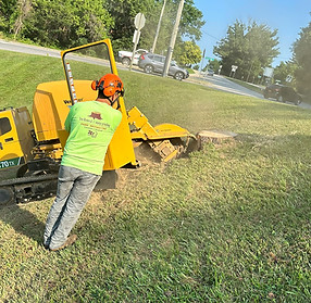 STUMP GRINDING.jpeg