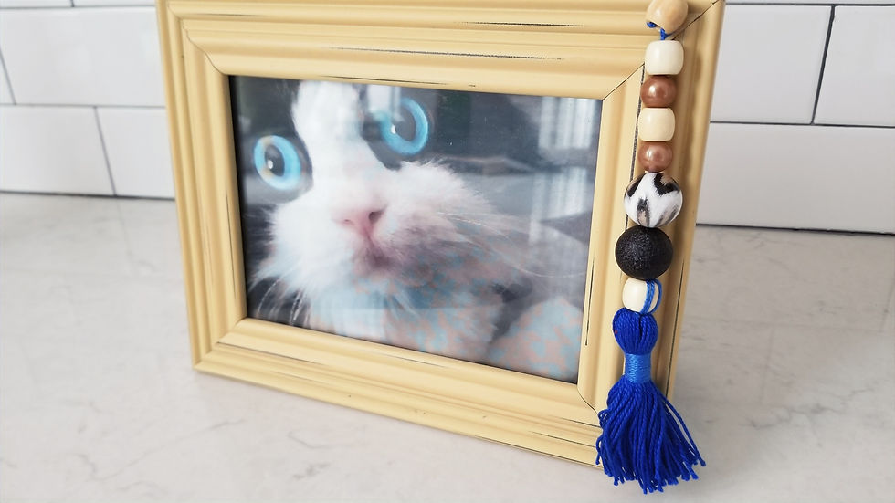 Framed photo of tuxedo cat; beaded pet memorial