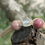 Miniature : Bracelet de lithothérapie Shamballa en rhodonite et sélénite — fait main, ajustable, pierre d’apaisement et d’harmonie.